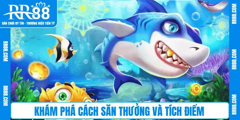 Khám phá cách săn thưởng và tích điểm